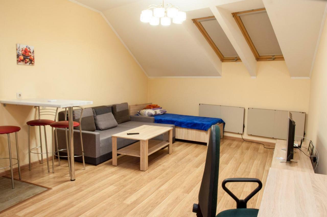 Wonderful Flat On City Center Oujhorod Extérieur photo
